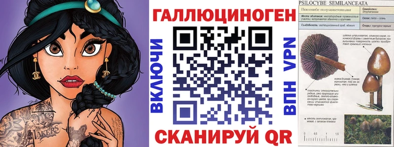 магазин продажи   Железногорск  Галлюциногенные грибы GOLDEN TEACHER 